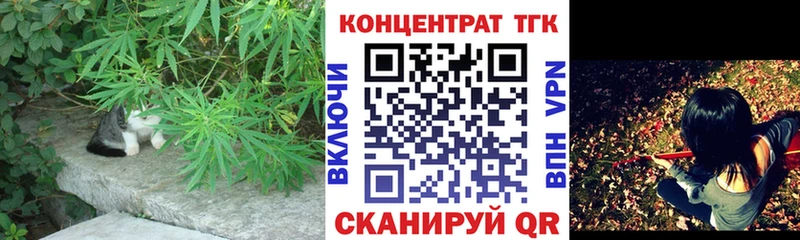 Купить закладки  Гусев  Дистиллят ТГК концентрат 